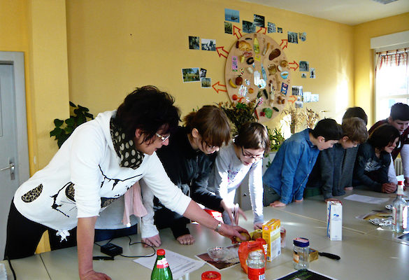 Für die 6. Klassen fanden auf der CSB Kinder- und Jugendfarm Workshops mit Frau Lehmann zum Thema &amp;amp;quot;Gesunde Ernährung&amp;amp;quot; statt.